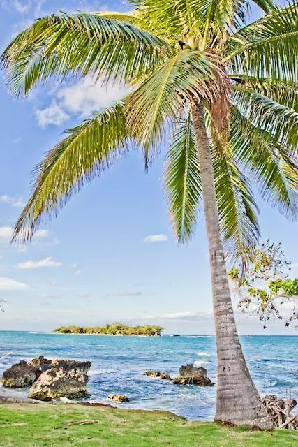 Lägenhet Deluxe Studio 228 Negril Jamaica